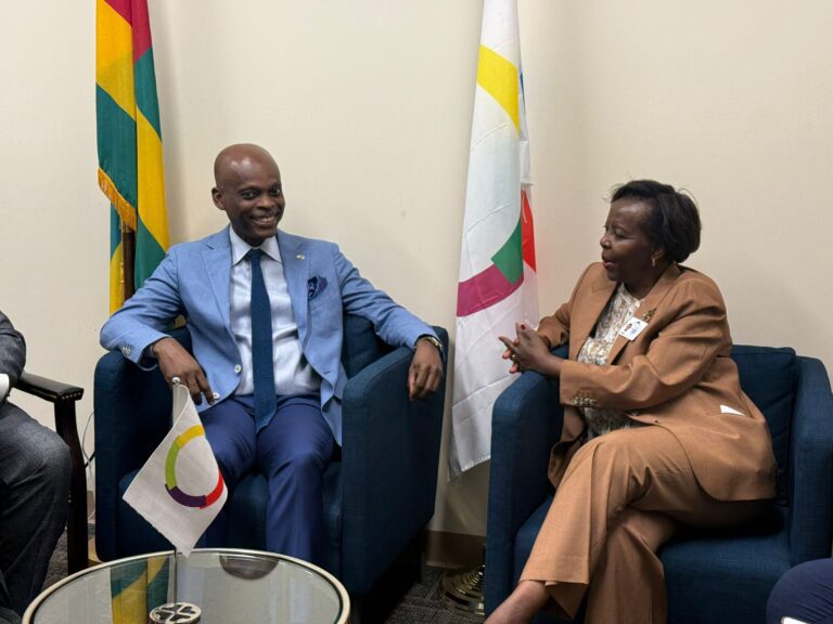 Diplomatie francophone : Le Togo échange avec l’OIF à New York