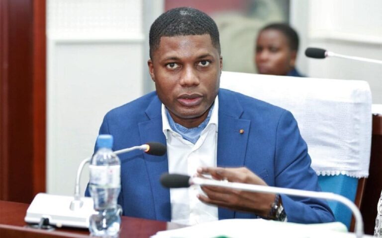Togo : Voici le rôle des ministres délégués au sein du gouvernement ? le rôle des ministres délégués au sein du gouvernement ?