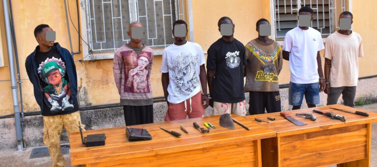 Police nationale togo