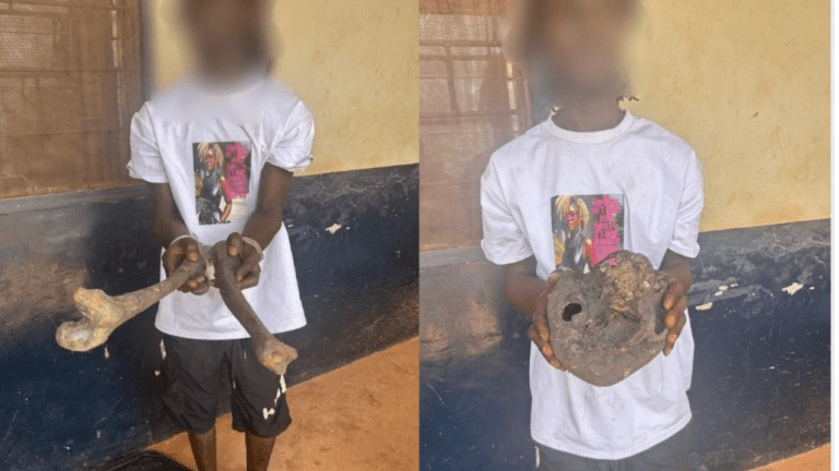 Un jeune homme arrêté avec des ossements humains