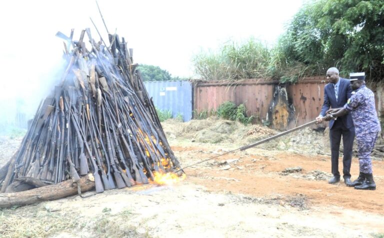 1000 armes illicites incinérées à Agoè-Nyivé
