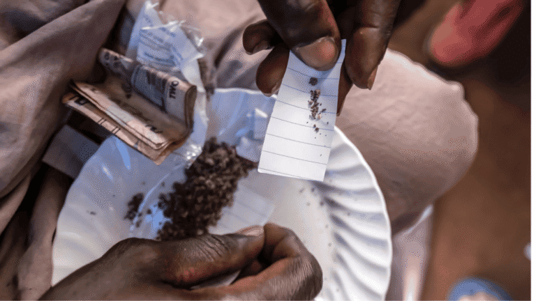 ils déterrent des ossements humains pour fabriquer de la drogue