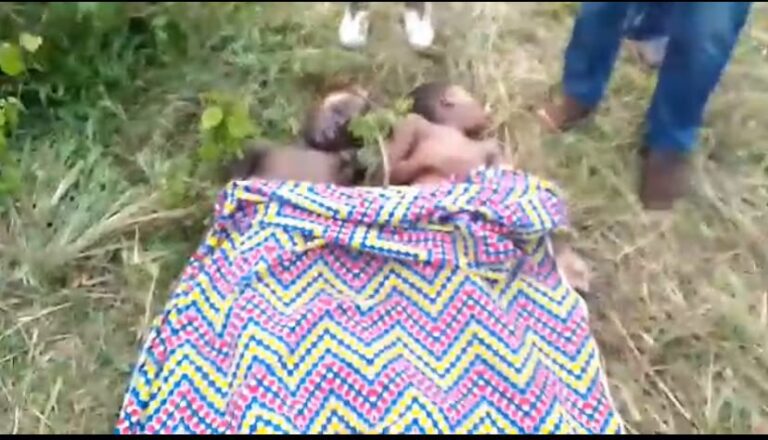 Togo : Deux enfants meurent noyés dans une carrière de sable sauvage Togo : Deux enfants meurent noyés dans une carrière de sable sauvage