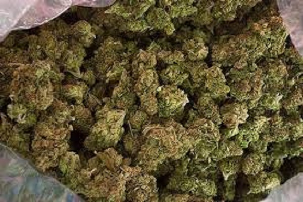 Drogue au Togo : La Gendarmerie nationale saisit plus d’une tonne de cannabis à Kloto 1 Drogue au Togo :
