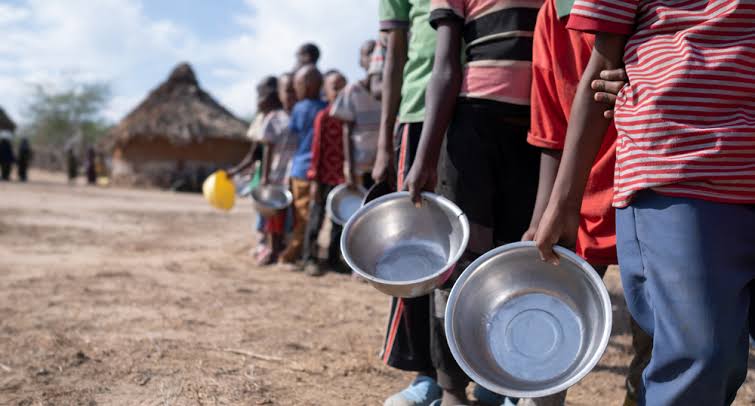 Pas de crise alimentaire actuelle au Togo : Ce que disent les chiffres Pas de crise alimentaire actuelle au Togo